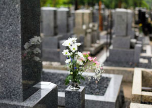 Цветы на могиле